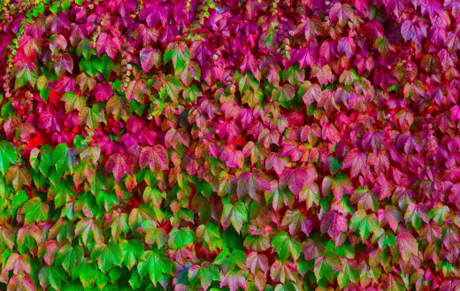 878536 (a): :2880x1820